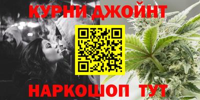 ALPHA PVP Гатчина