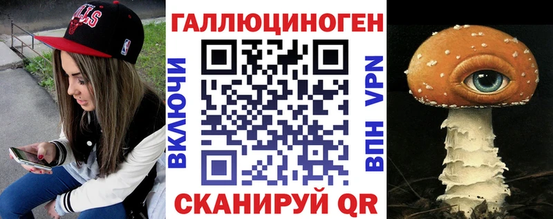 Псилоцибиновые грибы Psilocybine cubensis цена наркотик Карачаевск