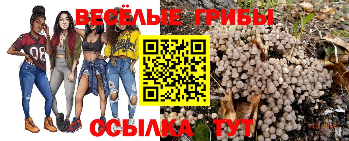 Галлюциногенные грибы мухоморы Карачаевск
