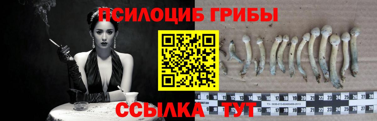 Псилоцибиновые грибы мухоморы Карачаевск